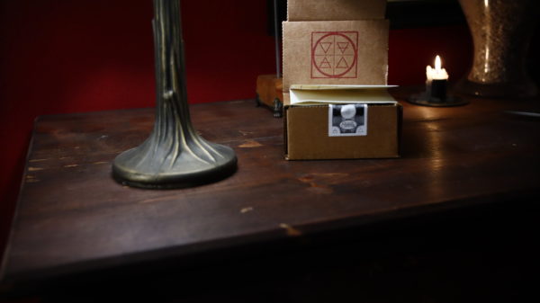 Midnight Pact - Image 5